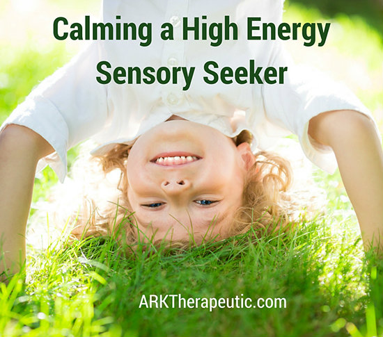 Calming a High Energy Sensory Seeker