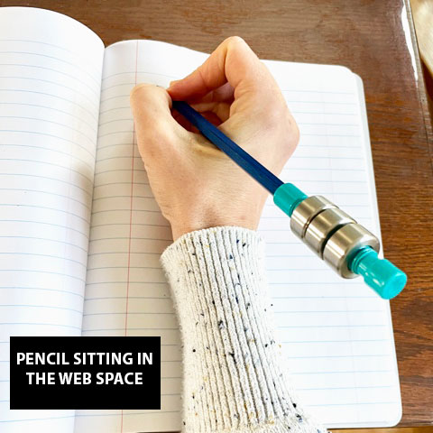 Pencil Sitting in the Web Space