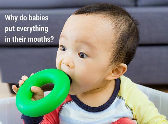 Why Do Babies Put Everything in Their Mouths?